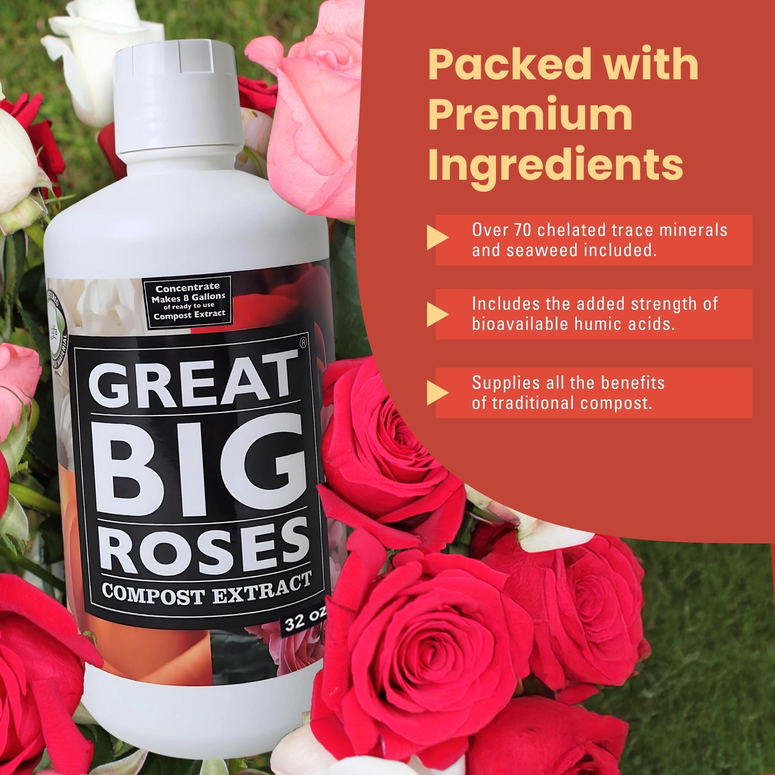 Great Big Roses thriving in a garden after using the booster.