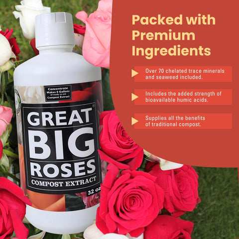 Great Big Roses thriving in a garden after using the booster.