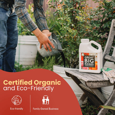 Great Big Plants soil improvement boost nourishes soil structure for healthier blooms.