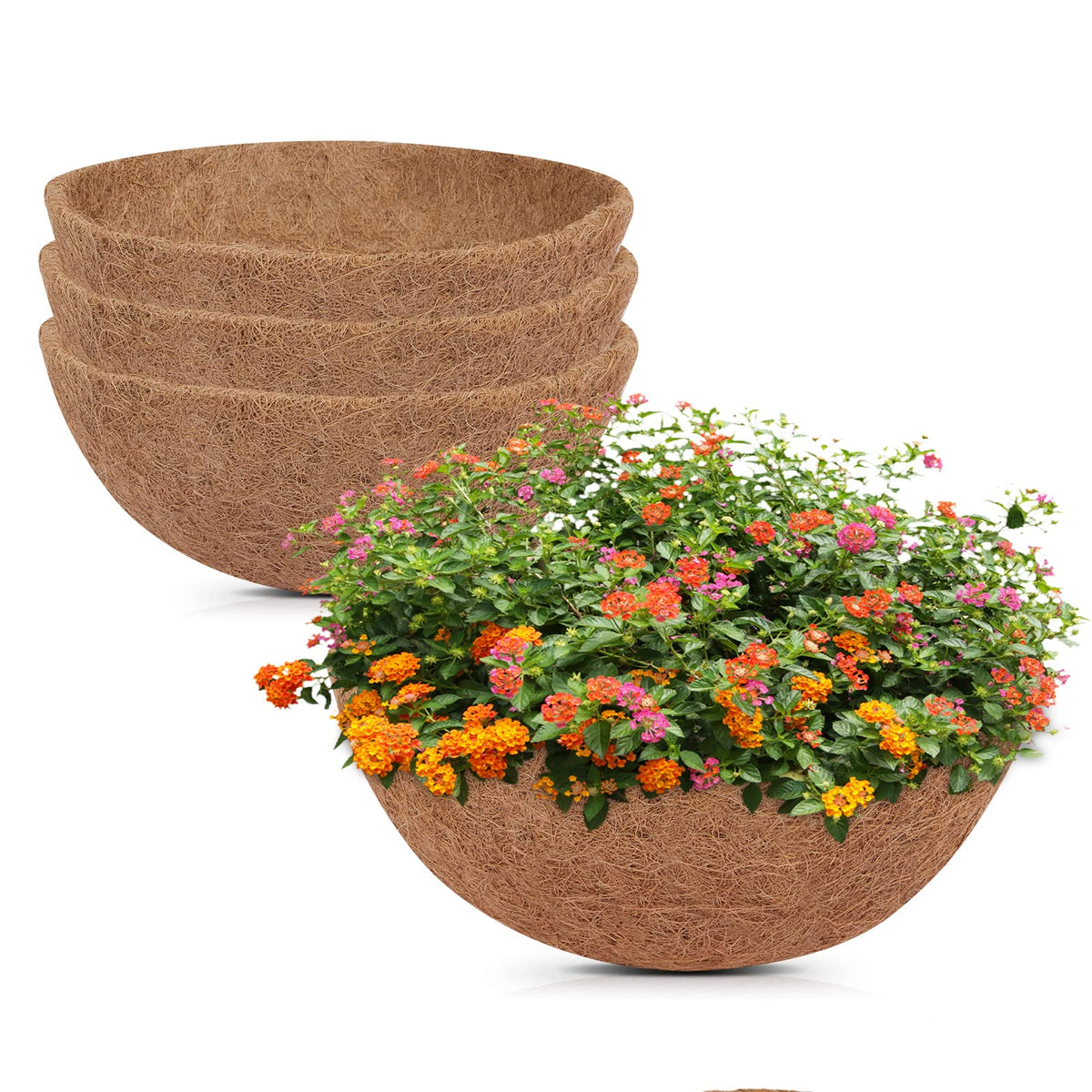 GreatBuddy 16-inch coconut hanging basket liner fits wire baskets for patios.