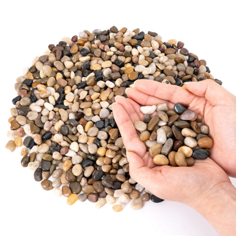 GreatBuddy pebbles 3-8 inch diameter add color to indoor planters and terrariums.