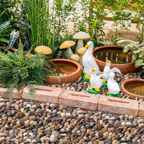 GreatBuddy river rocks are ideal for humidity trays and plant care setups