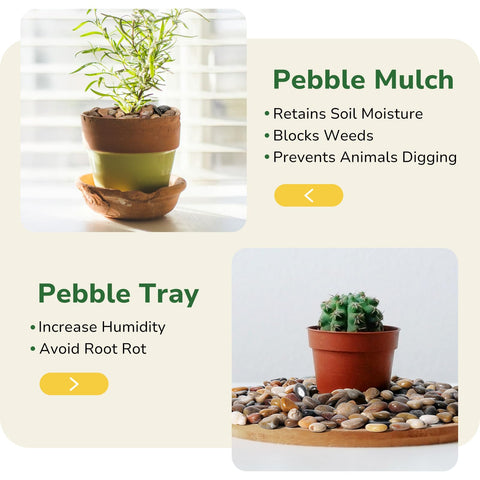 GreatBuddy natural stones provide moisture retention and mulch alternatives