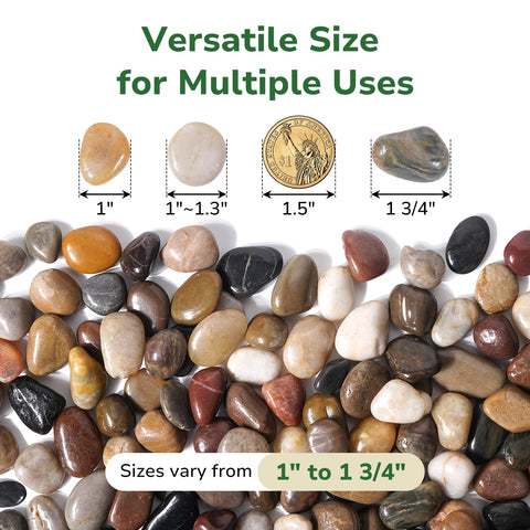 GreatBuddy river rocks colorful polish resists fading for long-lasting plant displays