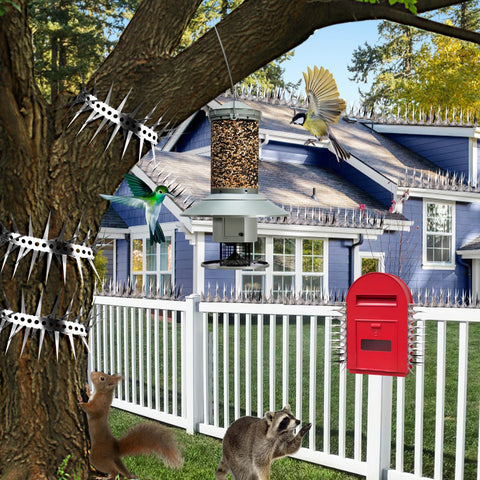 GRECOMEIN adjustable tilt spikes deter birds from roosting on ledges.