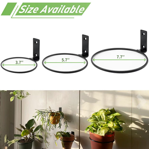 Greemov wall plant hanger ring diameters 3.7, 5.7, 7.7 inches.