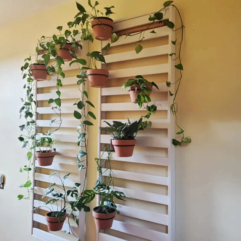 Greemov wall plant hanger ring mounted on wall with plant.