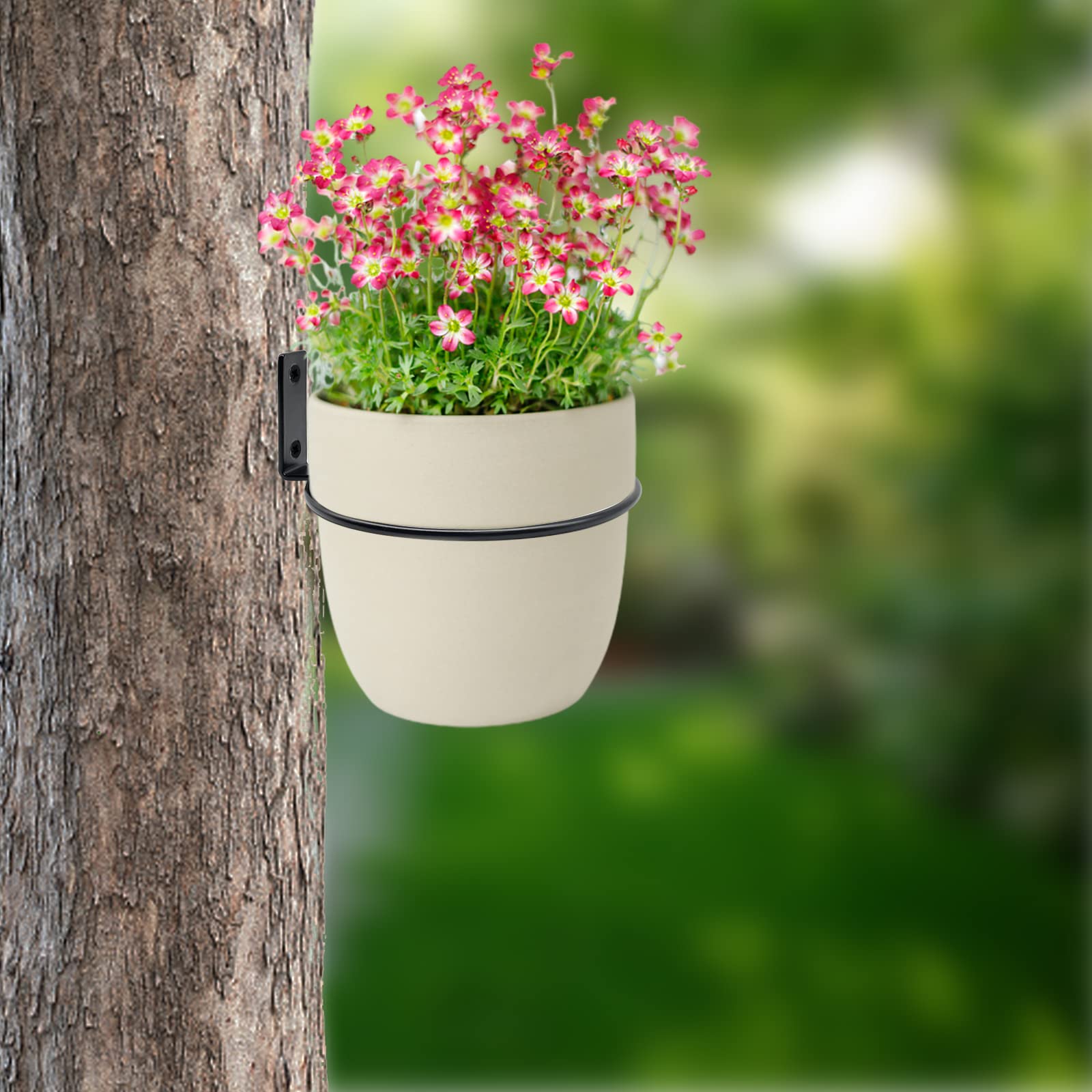 Greemov wall plant hanger ring packaging with screws and warranty.