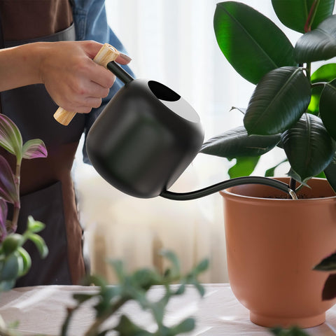 Green Moon decorative yet functional pourer blends with home décor.