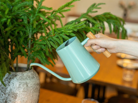 Green Moon 1000 ml capacity ideal for multi-plant watering.