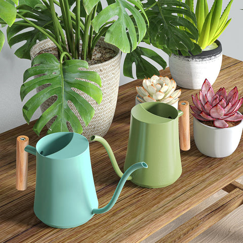 Green Moon 35oz bonsai-friendly table-top watering can