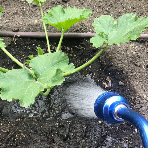 GREEN MOUNT watering wand reaching hanging baskets for precise watering