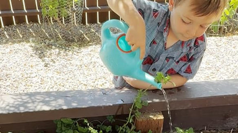 Green Toys Watering Can with Spout, dishwasher-safe and BPA-free, easy to clean.