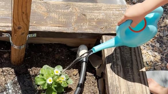Green Toys Watering Can with Spout, kid-friendly grip, ideal for sensory play.