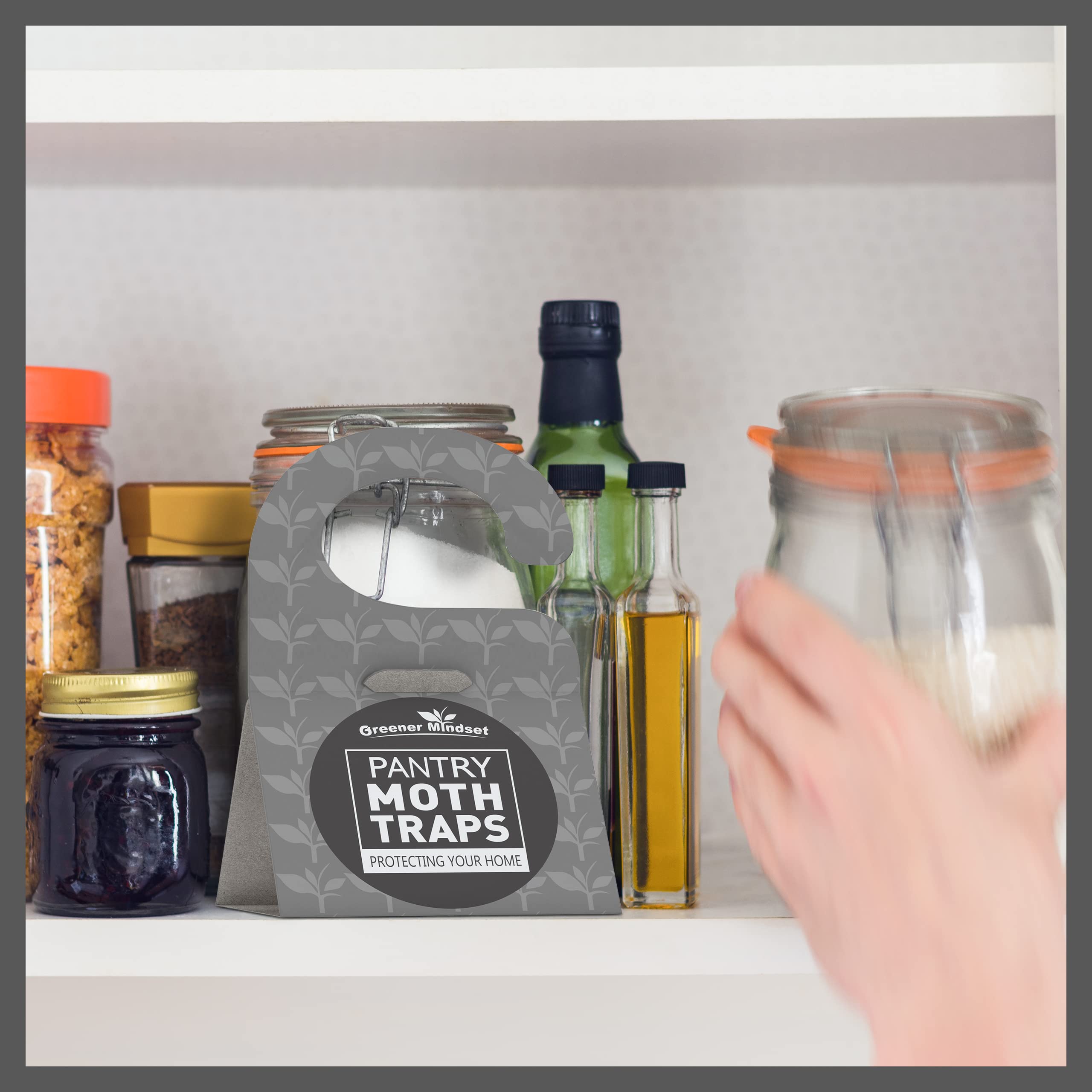 Greener Mindset traps attracting adult moths for monitoring in home pantry