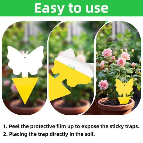 Greenkeeper sticky trap with included shovel for soil placement