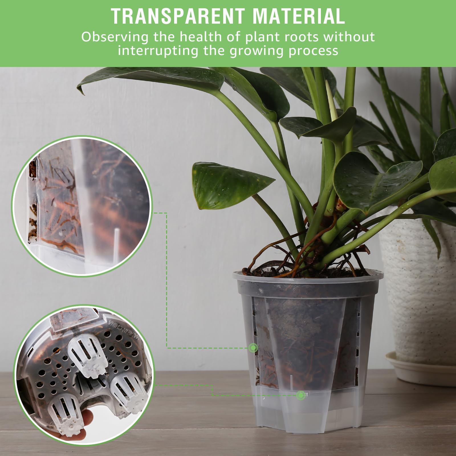 GREENPARA pot for indoor and outdoor use offers versatile placement.