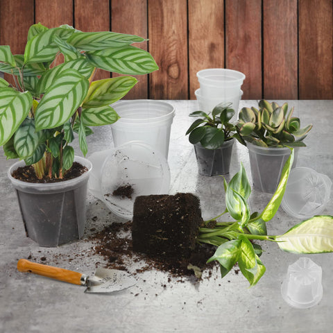 GREENPARA planter with labels included for organization