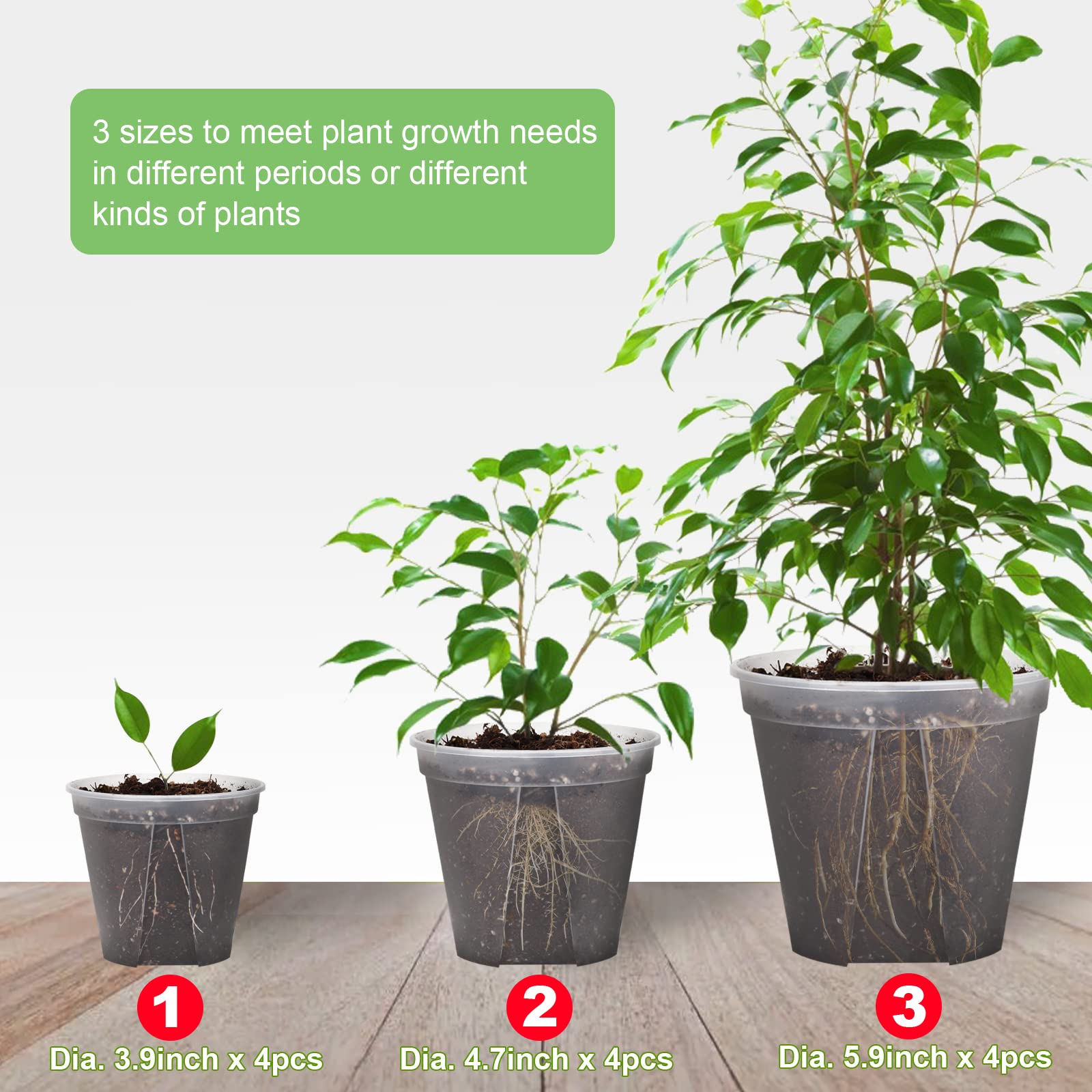 GREENPARA planter seedling nursery use on windowsill