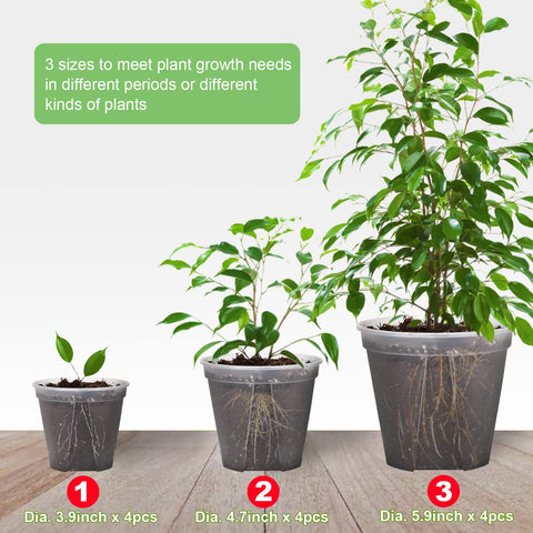 GREENPARA planter seedling nursery use on windowsill