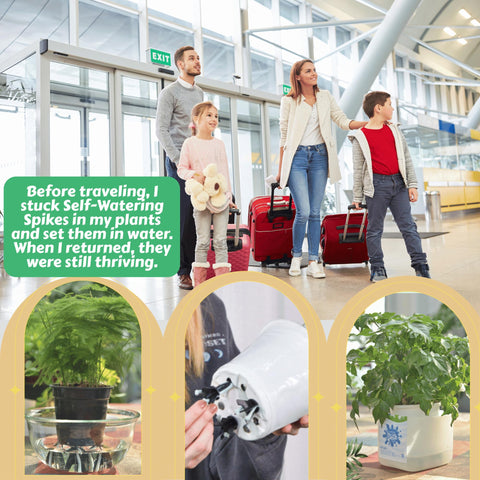 Large-size GreenShip spikes ensuring steady root hydration for thriving plants