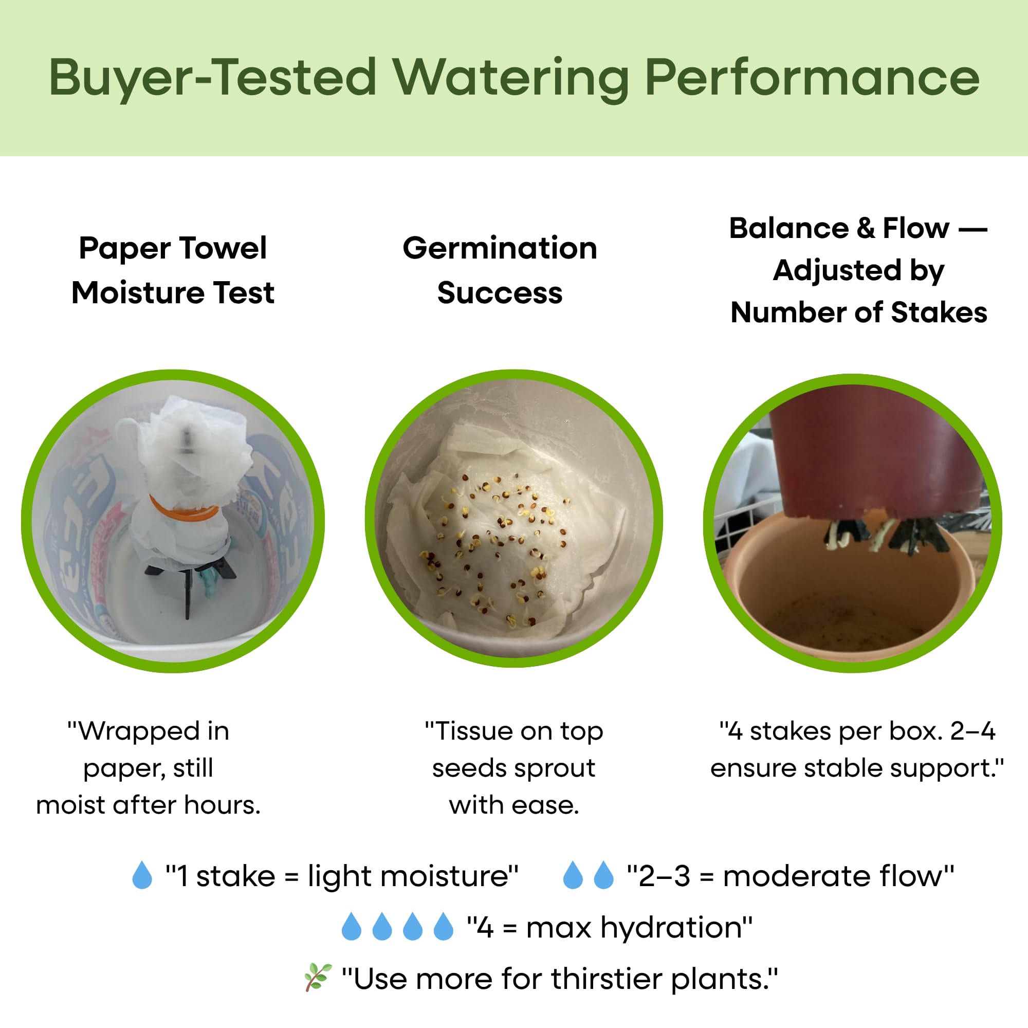 Small-size GreenShip spike in nursery pot delivering precise hydration