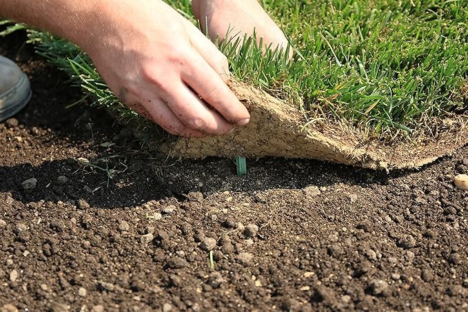 GreenStake stake gradually decomposes, leaving soil ready for planting.