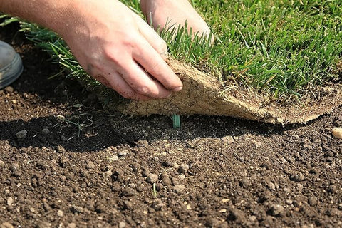 GreenStake stake gradually decomposes, leaving soil ready for planting.