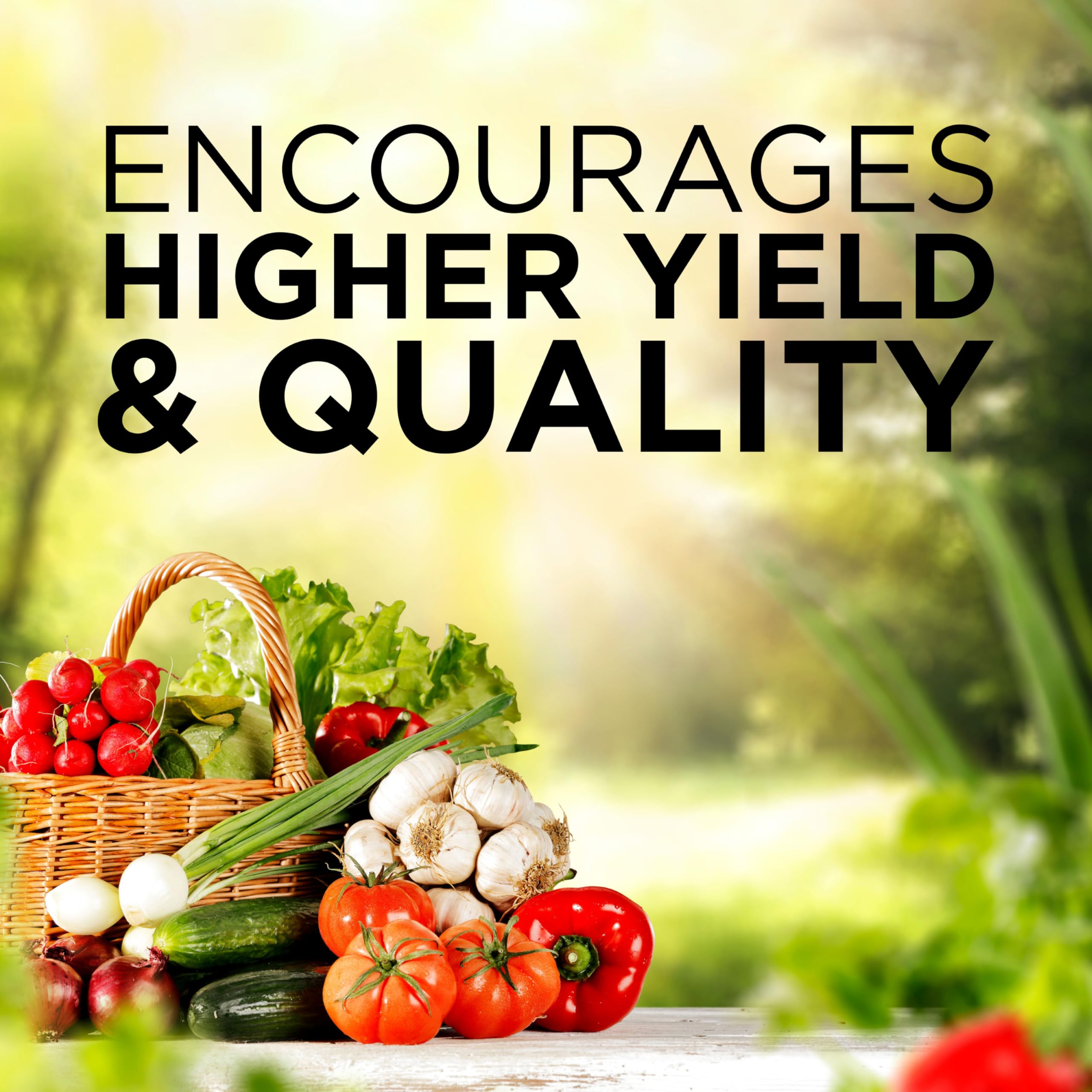 GreenView fertilizer promotes vibrant blooms in flower beds and ornamental gardens