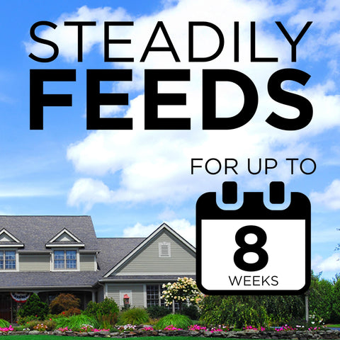 GreenView 6-week feeding keeps garden nourished between applications