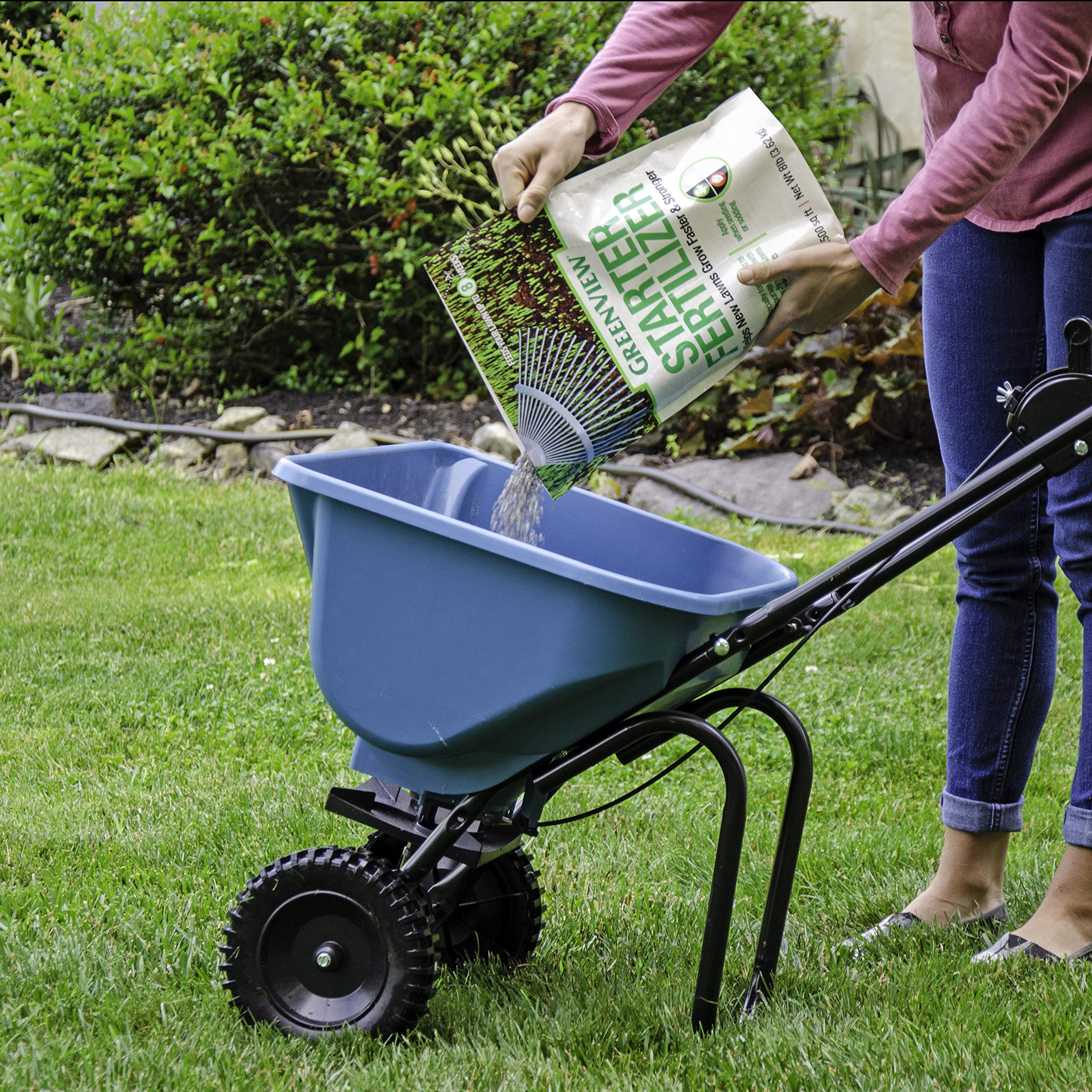 Bare lawn patch treated with GreenView starter fertilizer