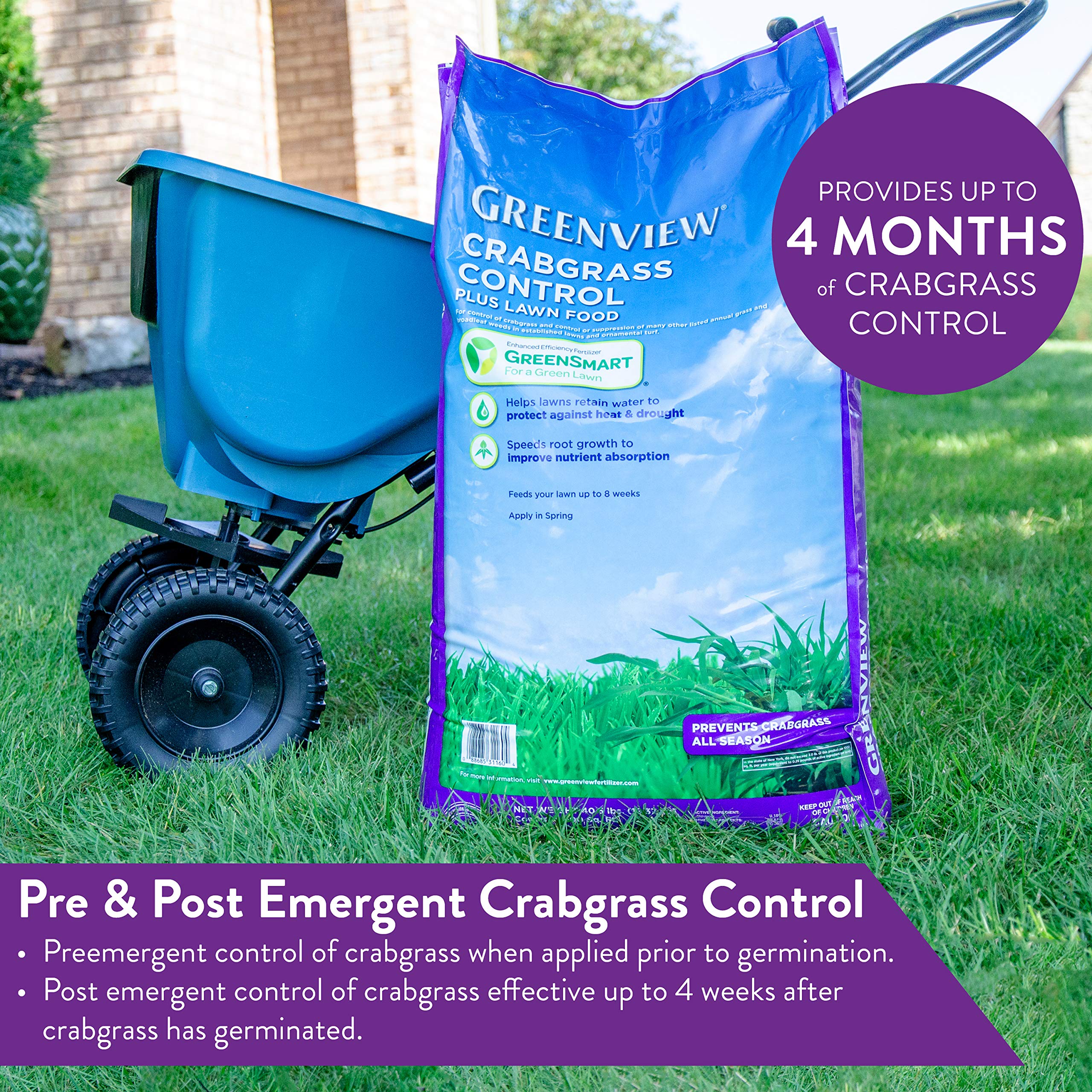 Soil and roots strengthened by GreenView Crabgrass Control Plus Lawn Food for drought resilience