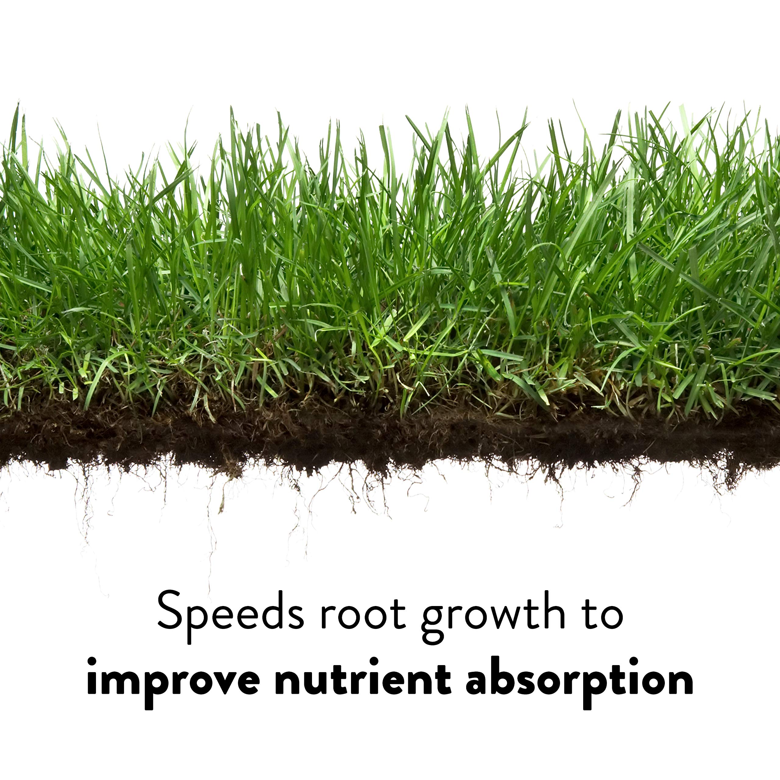 Spring green-up begins faster with GreenView Crabgrass Control Plus Lawn Food