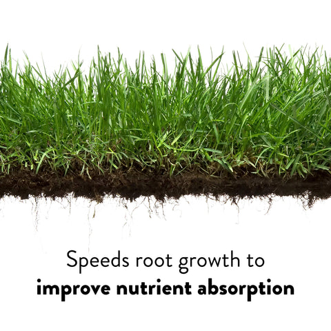 Spring green-up begins faster with GreenView Crabgrass Control Plus Lawn Food