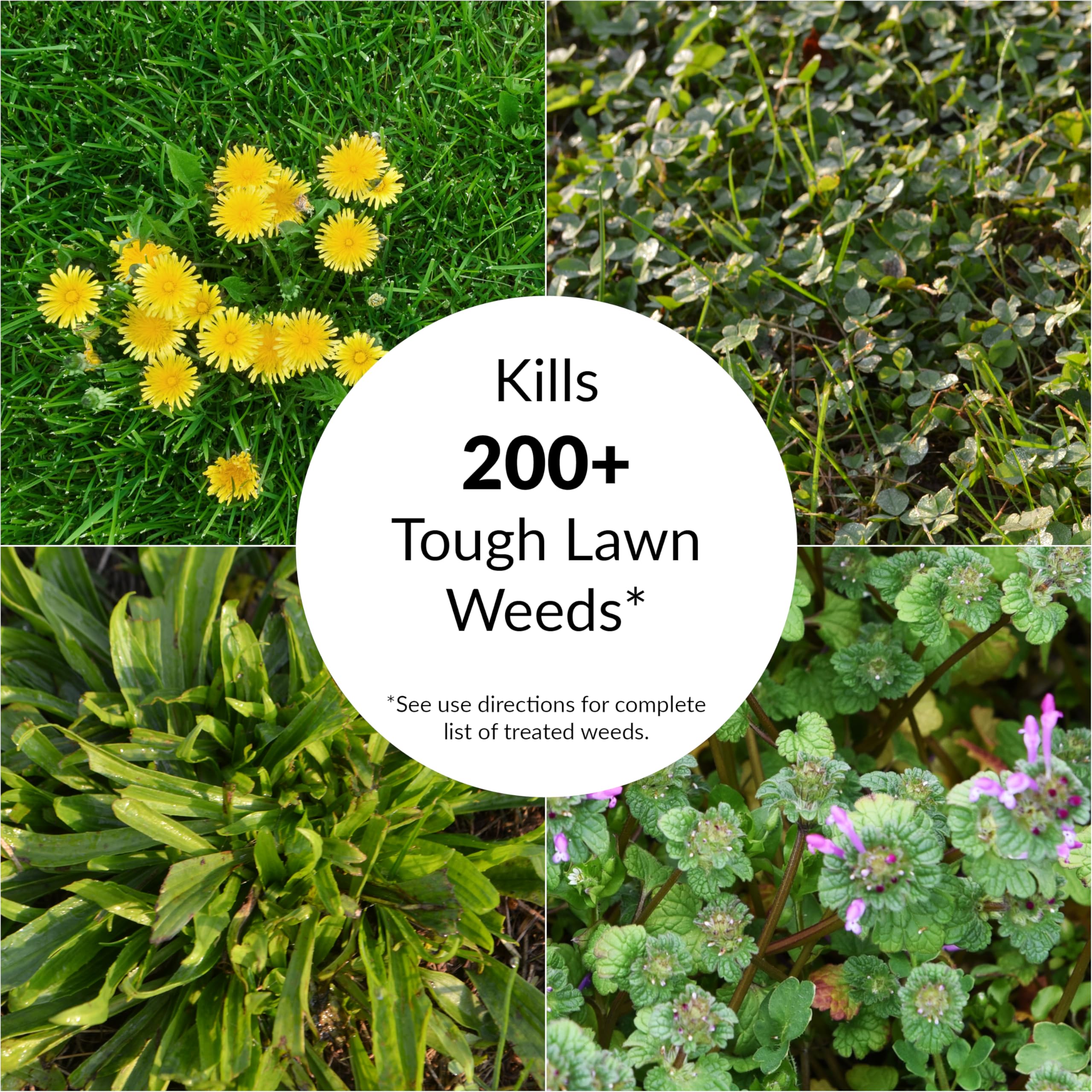 GreenView Fairway Formula bag covers up to 5,000 sq ft for sizable lawns.