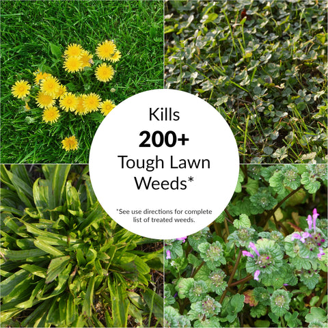 GreenView Fairway Formula bag covers up to 5,000 sq ft for sizable lawns.