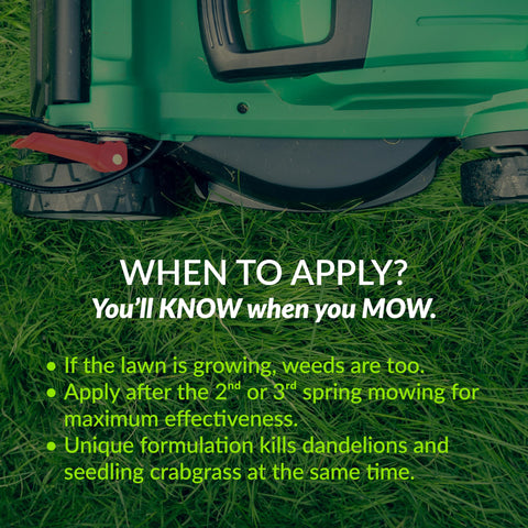Spring application with GreenView Fairway Formula aligns with dandelion bloom for best results.