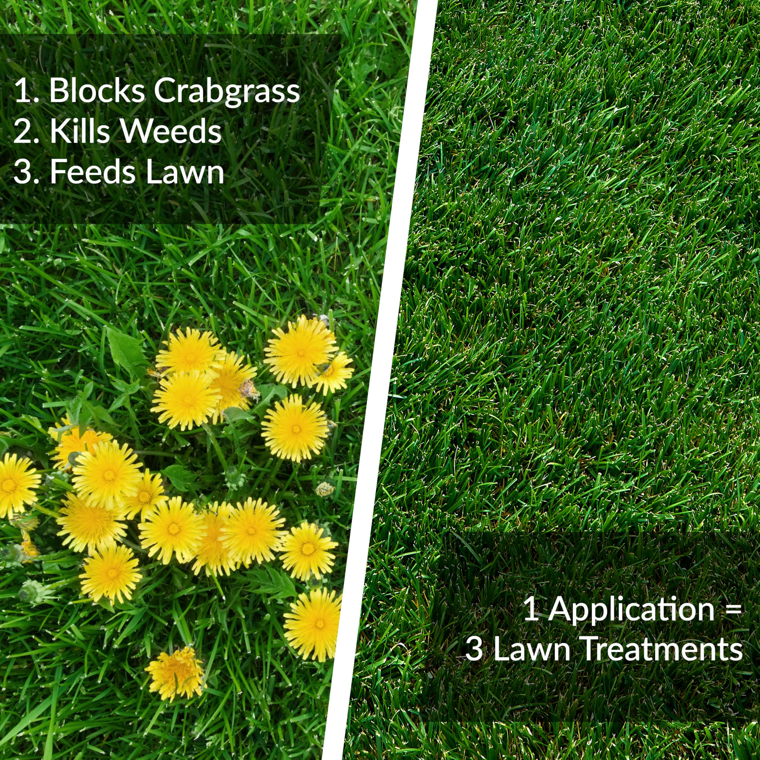 GreenView Fairway Formula kills 200+ weeds to keep your lawn clean and healthy.