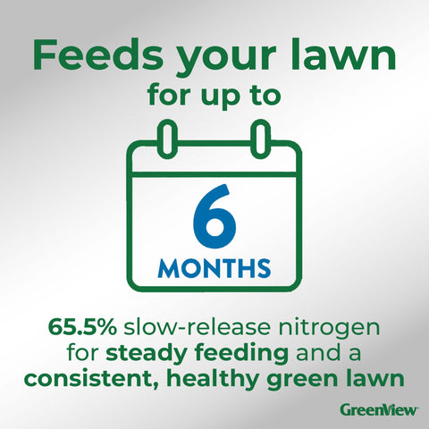 GreenView fast green-up delivers early lawn color.
