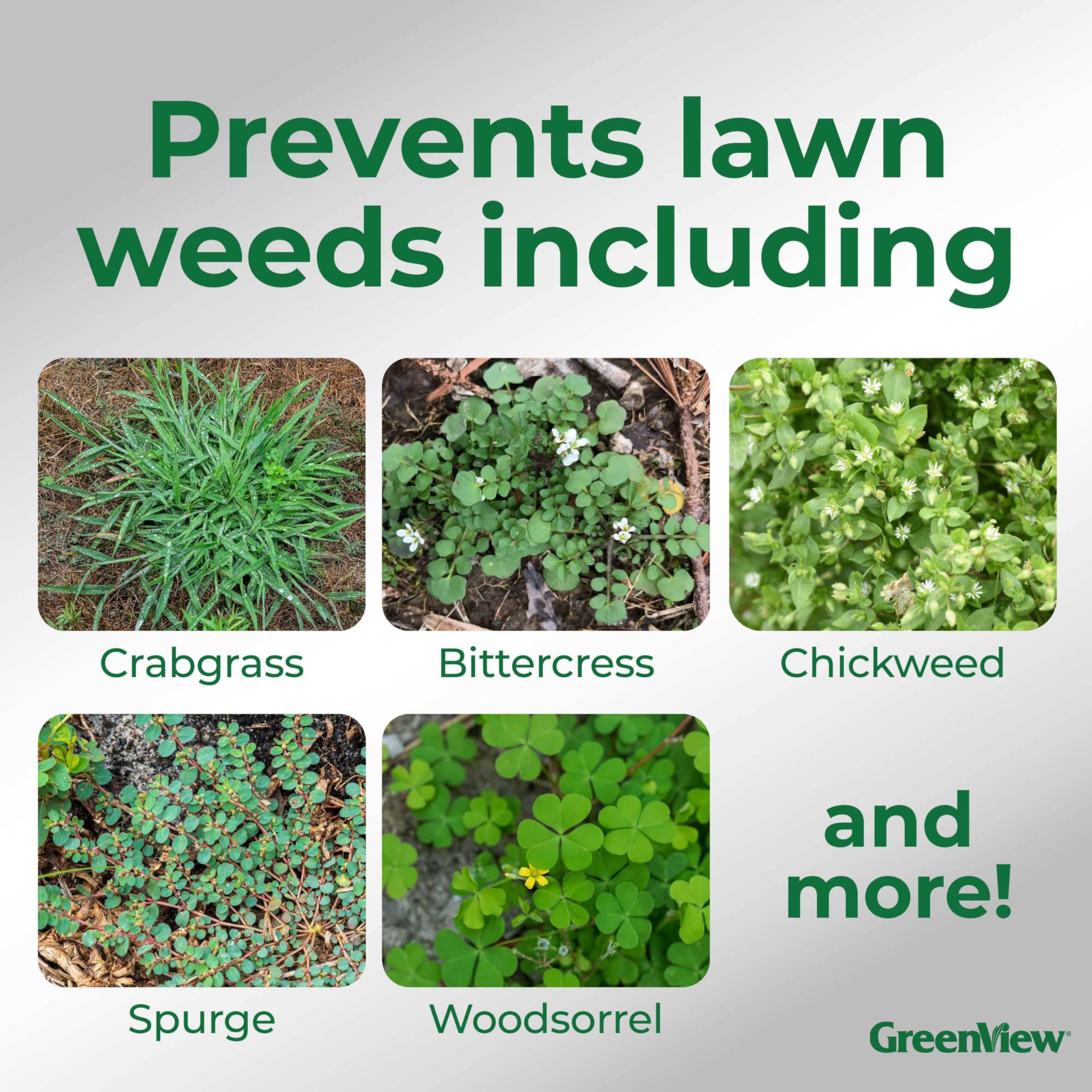 GreenView Dimension crabgrass barrier demonstrates pre-emergent protection.
