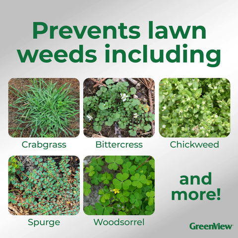 GreenView Dimension crabgrass barrier demonstrates pre-emergent protection.
