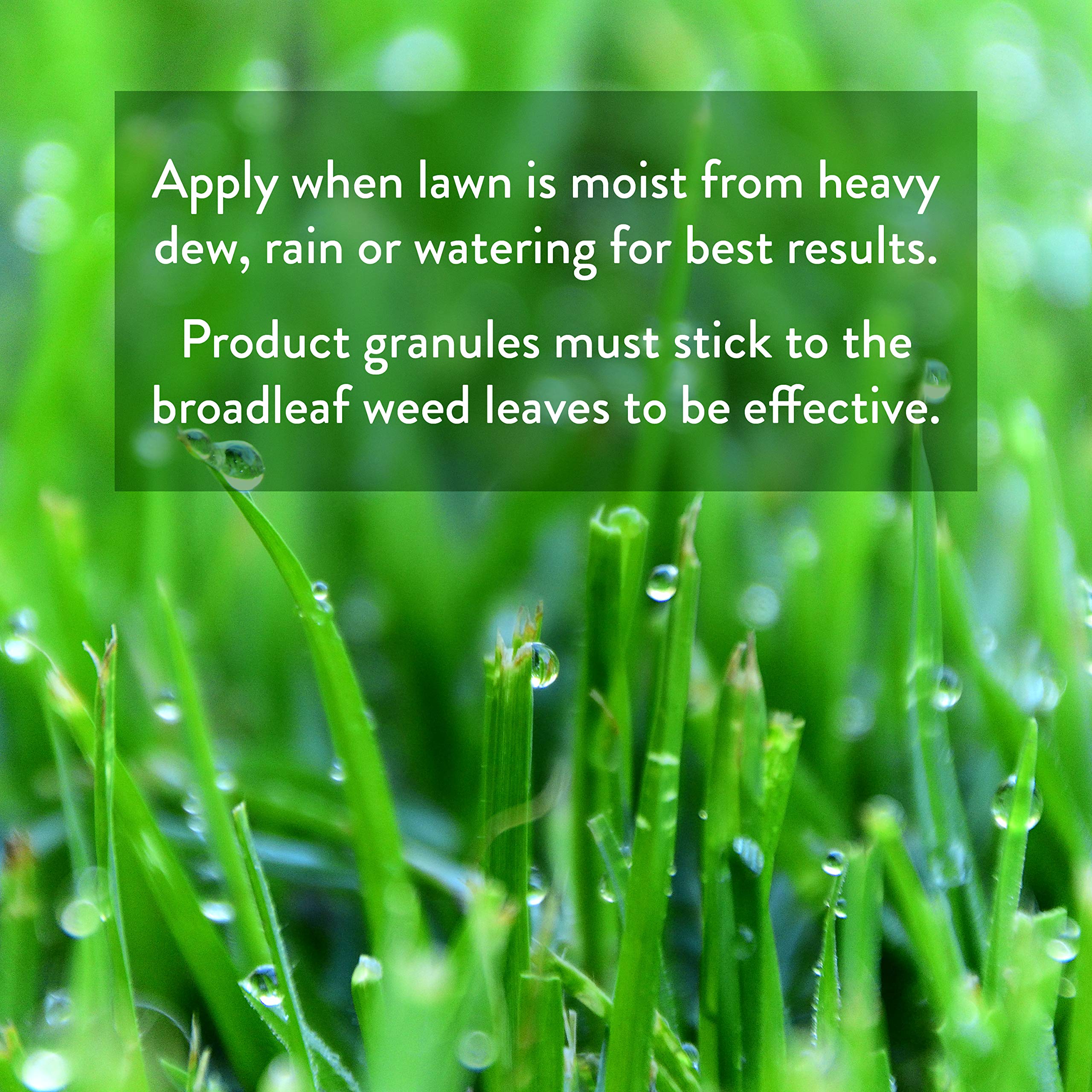 GreenView lawn after treatment showing a vibrant spring green up