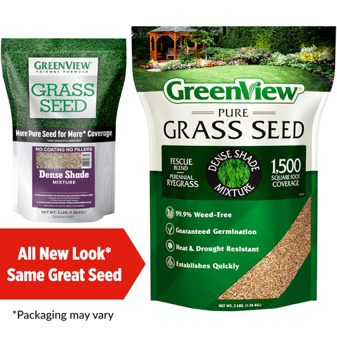 GreenView Pure Grass Seed Dense Shade Lawn demonstrates shade-friendly growth.