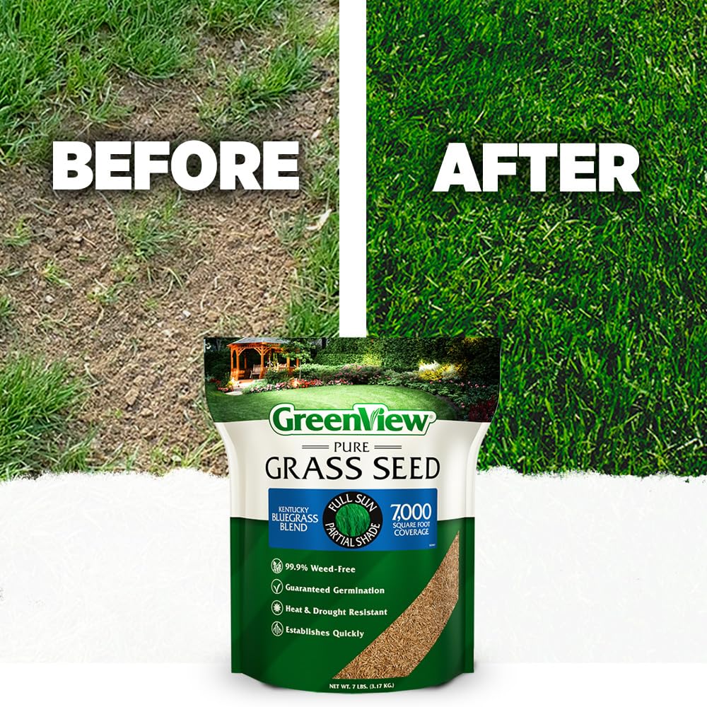 GreenView Pure Grass Seed KB Blend sun-shade performance demonstrates versatility across light and sun.