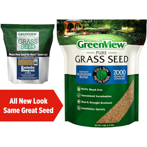 GreenView Pure Grass Seed Kentucky Bluegrass Blend provides drought tolerance for resilient lawns.