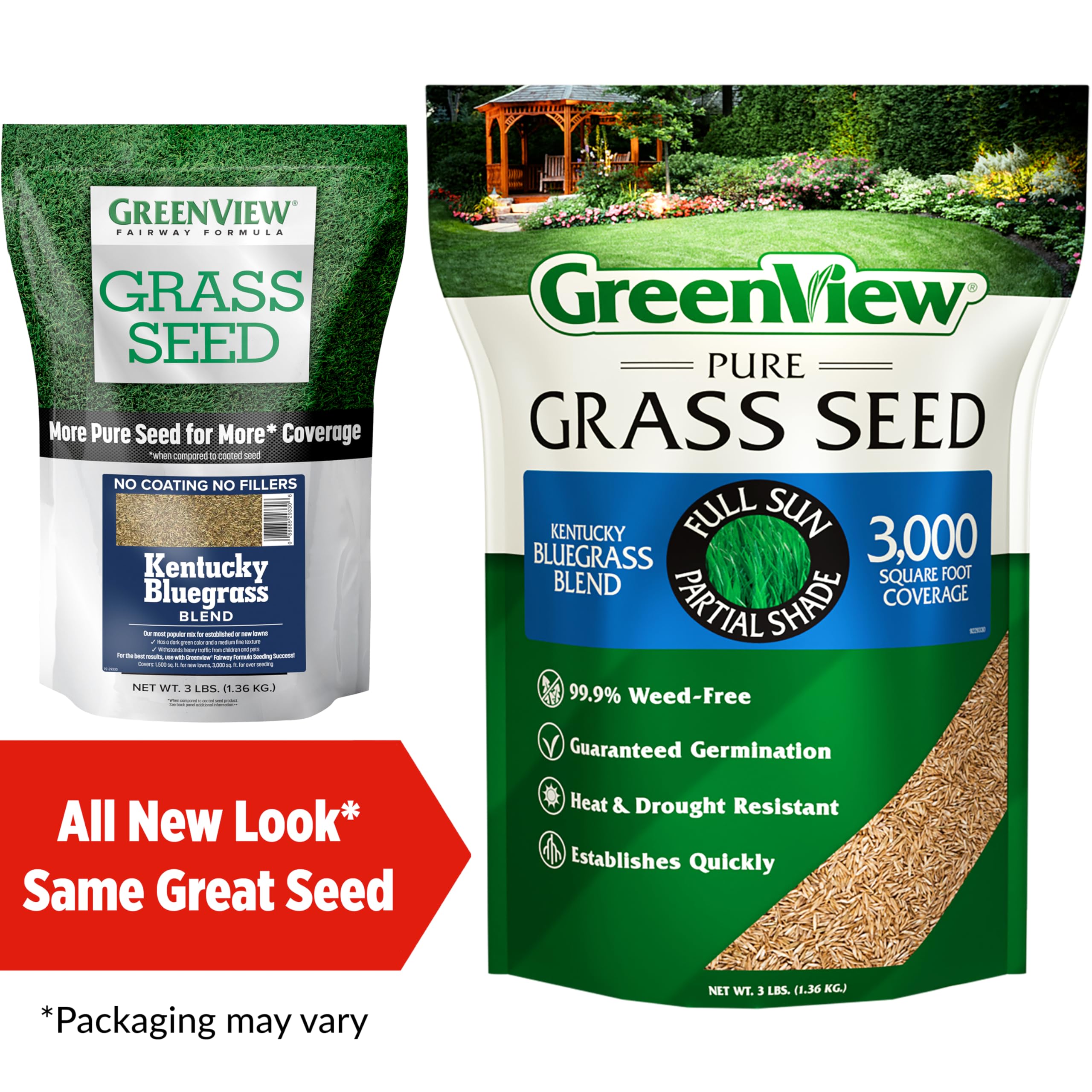 GreenView Pure Grass Seed closeup of uniform Kentucky bluegrass grains
