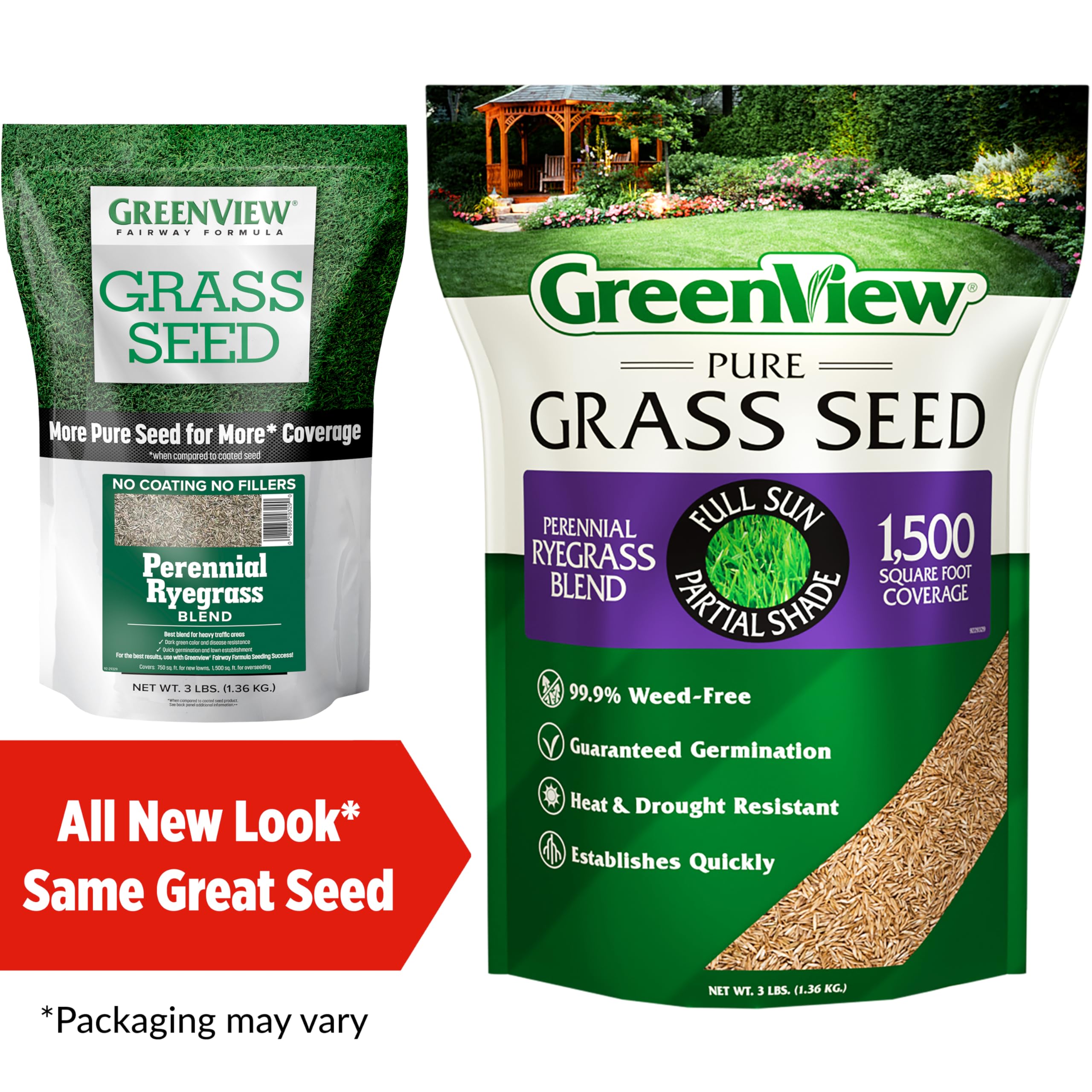 Lawn bare spots ready for overseeding with GreenView Pure Grass Seed.