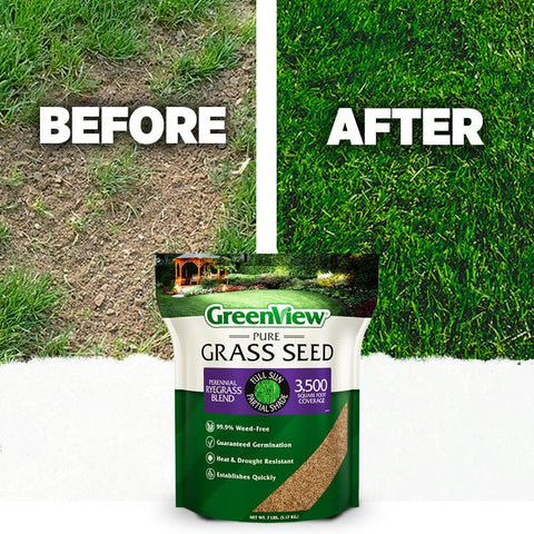Bare lawn area being seeded with GreenView blend for up to 5000 sq ft coverage