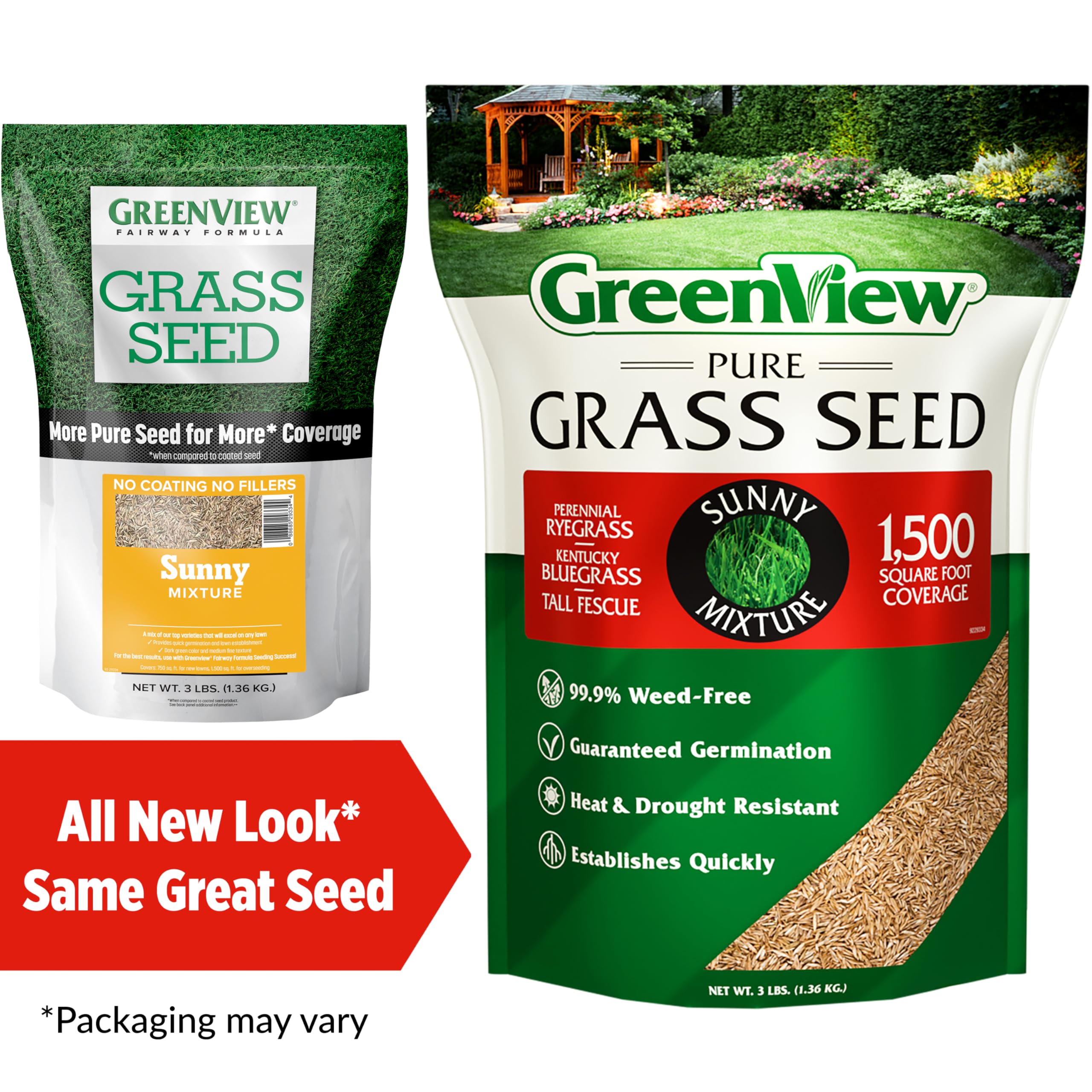 Close-up of GreenView Pure Grass Seed Sunny Mix seeds with a nearly weed-free blend for clean lawns.