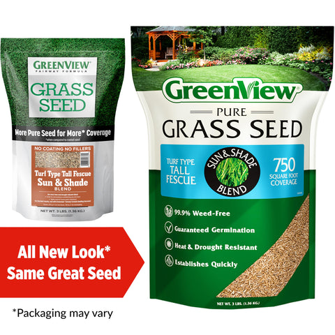 GreenView Pure Grass Seed germination in 10 to 14 days demonstrates quick lawn progress.